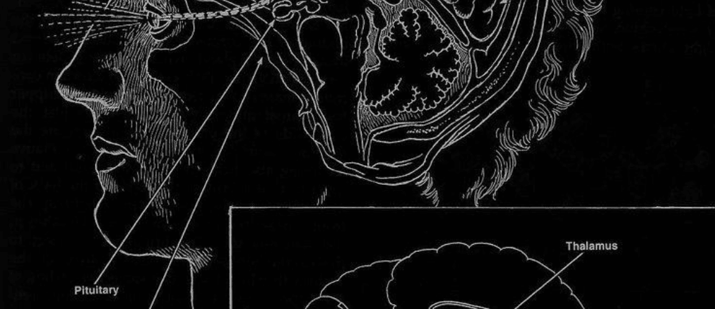 PatientAware: Context-Aware AI Platform Preview